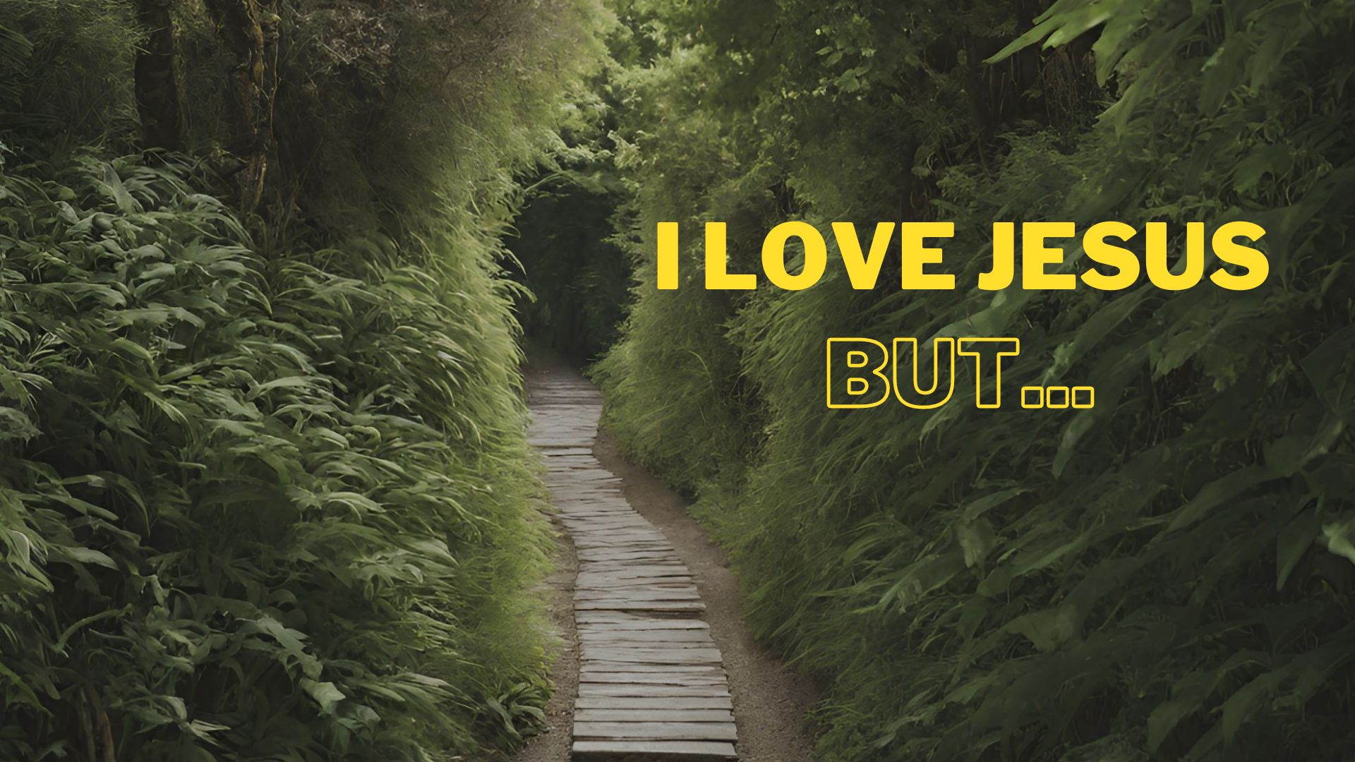 I Love Jesus, but...